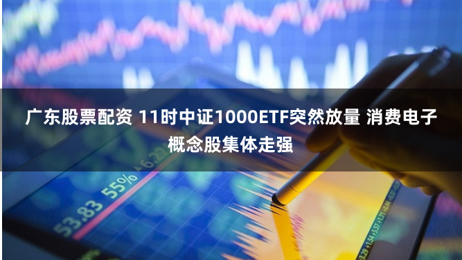 广东股票配资 11时中证1000ETF突然放量 消费电子概念股集体走强