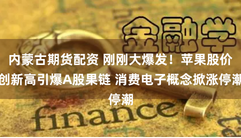 内蒙古期货配资 刚刚大爆发！苹果股价创新高引爆A股果链 消费电子概念掀涨停潮
