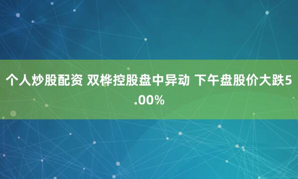 个人炒股配资 双桦控股盘中异动 下午盘股价大跌5.00%