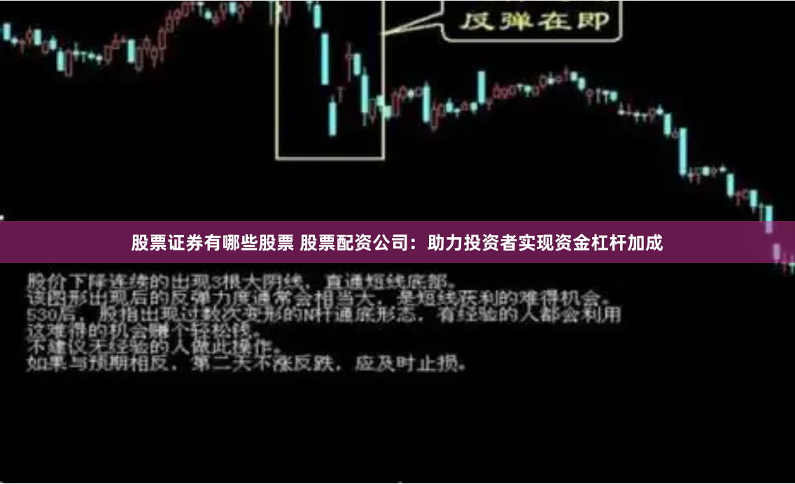 股票证券有哪些股票 股票配资公司：助力投资者实现资金杠杆加成