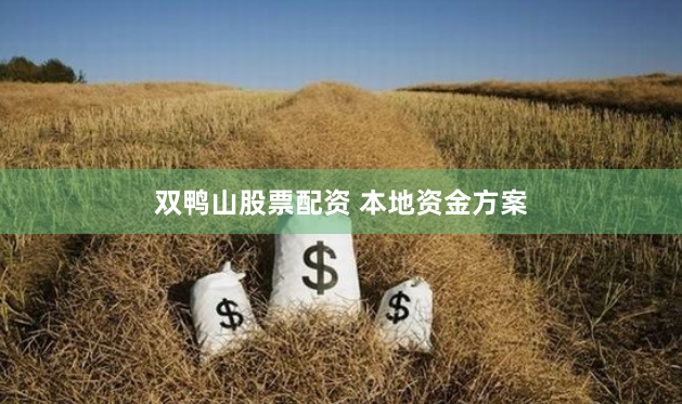 双鸭山股票配资 本地资金方案